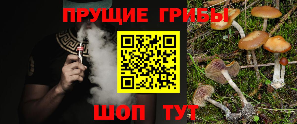 Галлюциногенные грибы прущие грибы Десногорск