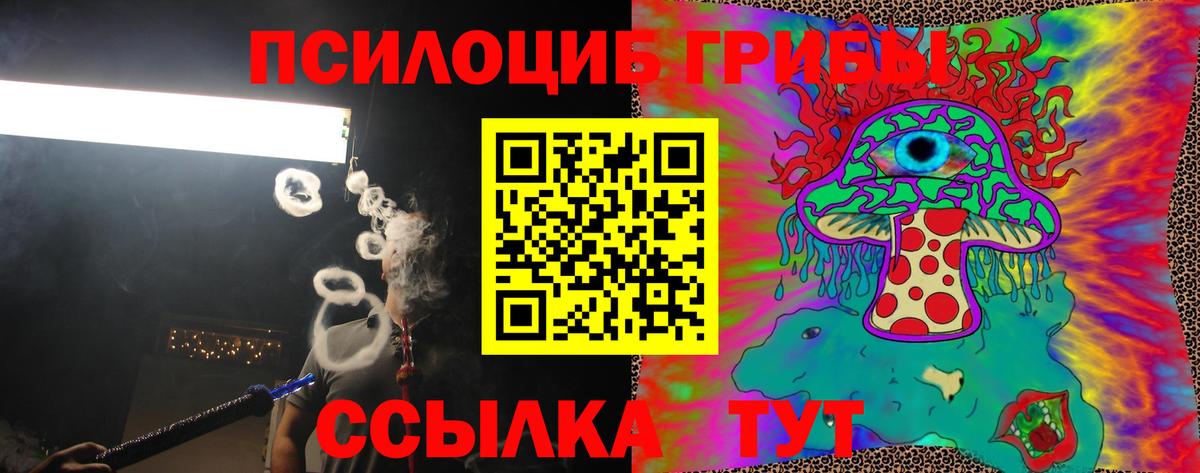 Галлюциногенные грибы Magic Shrooms  Псилоцибиновые грибы Psilocybine cubensis  Десногорск  Вход с VPN 